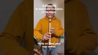 Quena de digitación cromática en Re mayor QUENACHO en RE [upl. by Acinomaj]