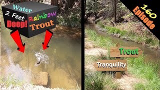 Catching TROUT in 2 FEET OF WATER Trout Fishing in STUNNING Twain Harte amp Lyons Dam [upl. by Soraya]