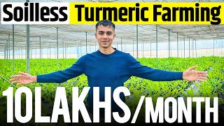 1 acre से 1 crore Soilless Turmeric Farming Profits Explained  Agritalk By Abhinav Roy [upl. by Cassey]