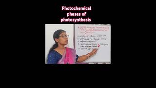 photochemical phases of photosynthesis 💯🔥 [upl. by Barna725]