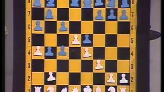 Schach der Großmeister 1984 [upl. by Aciemaj]