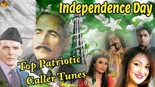 Top Patriotic Caller Tunes  Independence Day Mashup  National song [upl. by Madonna49]