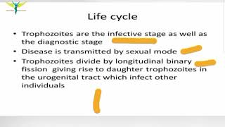 Trichomonas Vaginalis  Trich Infection [upl. by Orgell]