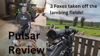 Pulsar review amp 3 foxes taken off the lambing fields [upl. by Tamar]