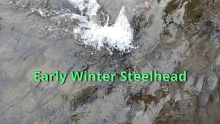 Early Winter Steelhead fishing [upl. by Katalin410]