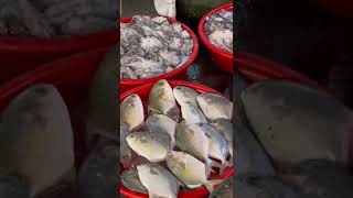 fresh seafood market in philippines shorts [upl. by Torrie314]