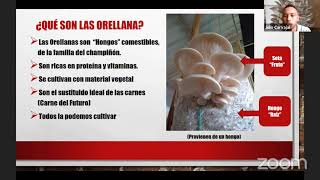 Producción de Setas Orellanas [upl. by Owena]