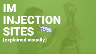 HOW TO GIVE IM INJECTIONS  sites considerations nursing care for nurses [upl. by Arikahs303]