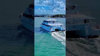 Reef Cat  Tangalooma Island’s new ferry fully refit by CMA [upl. by Jed]