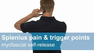 Splenius capitis and cervicis pain amp trigger points  Myofascial release [upl. by Guinna]