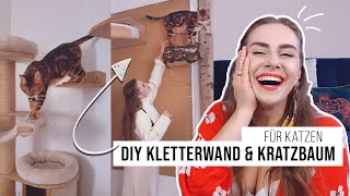 einfache DIY Kletterwand und Kratzbaum für Katzen [upl. by Nishi]