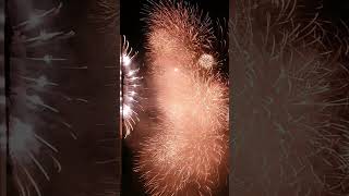 한국 연화 Final불꽃 영상2024 포항불꽃축제Korea Fireworks Video 2024 Pohang Fireworks Festival [upl. by Francisco]