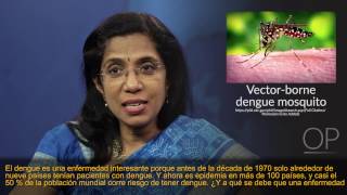 quotGeneral Guidelines for Managing Severe Dengue and Dengue Shock in the ICUquot by Suchitra Ranjit [upl. by Eitak964]