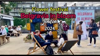 London’s mustsee free flower festival Belgravia in bloom 2024 [upl. by Navek690]