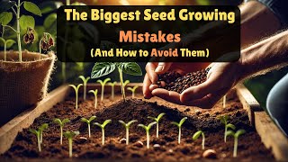 Growing Seeds Like a PRO Avoid These Rookie Mistakes [upl. by Dlonra]