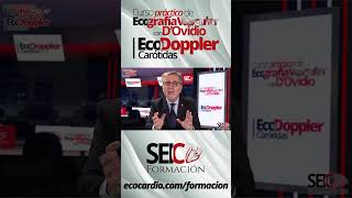 Curso Práctico de Ecografía Vascular  Eco Doppler Carótidas [upl. by Lohrman]