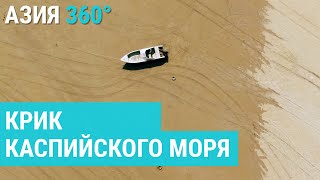 Атырау на грани экологической катастрофы Как высыхает море  АЗИЯ 360° [upl. by Terri92]