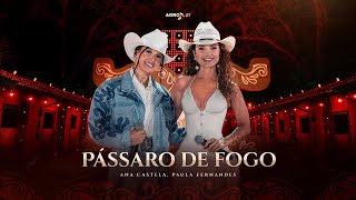 Ana Castela ft paulafernandes  Pássaro de Fogo DVD Herança Boiadeira [upl. by Torhert]