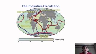 Oceans 2a Thermohaline circulation [upl. by Yzdnil825]