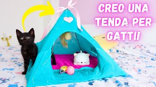 CREO UNA TENDA PER IL GATTINO CHAN DIY cat tent [upl. by Tybald]