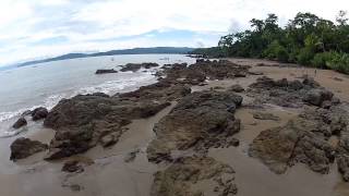 Corcovado National Park near Drake Bay Costa Rica Full HD [upl. by Bellda]