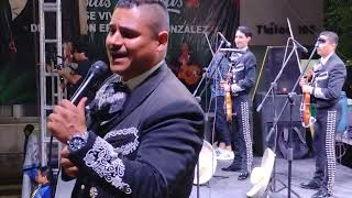 Mariachi los palmeros  Amor eterno ❤️❤️ [upl. by Ieso]