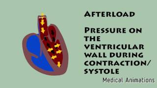 Preload VS Afterload [upl. by Ecirehc]