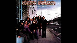 Lynyrd Skynyrd  Free Bird Solo backing track [upl. by Esinej]