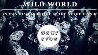 Wild World  Indian Diamonds Live [upl. by Ornstead]