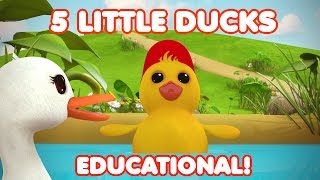 5 Little Ducks  Five Little Ducks  Nursery Rhymes  Kids Songs [upl. by Yrocej]