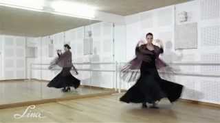 Ropa de Baile Flamenco de Lina [upl. by Tadich]