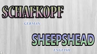 Schafkopf  Sheepshead  How to Play  Episode 1  Game Overview Intro [upl. by Roland]