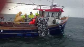 Mourne Herring Fishing 2012 [upl. by Kirsch]