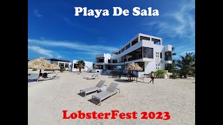 Lobster Crawl 2023 Playa De Sala [upl. by Lalise]