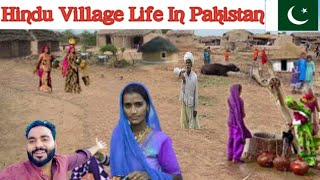 Hindu Village in Pakistan Hindu life in Pakistan Pakistani Hindu Pakistan main Kaise rahte hain [upl. by Leuqar544]