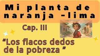 Mi planta de naranjalima  Cap III Audiolibro [upl. by Atirma]