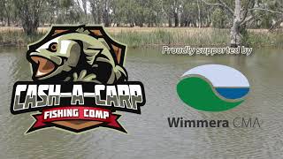 Wimmera carp catching tips with carp champion Chris Denton [upl. by Serdna603]