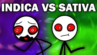 INDICA VS SATIVA [upl. by Nyroc]