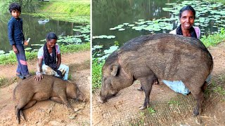 കാട്ടിൽ പന്നി കണ്ടെത്തിതന്ന നിലക്കാത്ത നീരുറവ കൊടും വേനലിലും വറ്റാറില്ല😱 Wayanad [upl. by Melisent859]