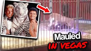 The Terrifying Footage Of Vegas Performers Siegfried And Roy [upl. by Yroc730]