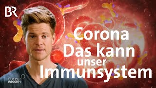 Corona Wie werde ich immun  Coronavirus  BR [upl. by Macleod]