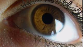 Get Hazel Eyes In 14 Seconds [upl. by Boeschen]