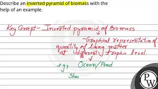 Describe an inverted pyramid of biomass with the help of an example [upl. by Aesoh]