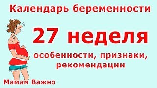 27 неделя беременности особенности изменения рекомендации [upl. by Edny]