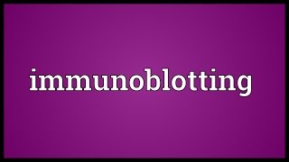 Immunoblotting Meaning [upl. by Elie941]