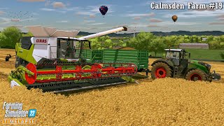 Buying Sheep Weeding Starting Harvesting 32 acres of Wheat🔸Calmsden Farm 19🔸Farming Simulator 22 [upl. by Thordis696]