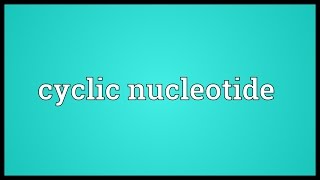 Cyclic nucleotide Meaning [upl. by Justis]