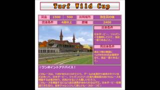 【メダルゲームBGM】G1TW Turf Wild Cup＆G1WS WSダービー・オークス [upl. by Araldo831]