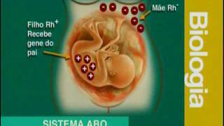 A 07  Sistema ABO e RH  Biologia  Vestibulando Digital [upl. by Pascale695]