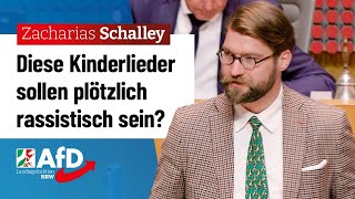 Diese Kinderlieder sollen plötzlich rassistisch sein – Zacharias Schalley AfD [upl. by Vanzant668]